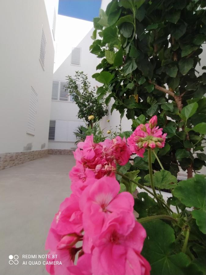 Atico-duplex Palmeras Appartement *